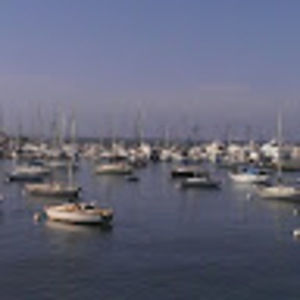 Meet your Posher, Ellen